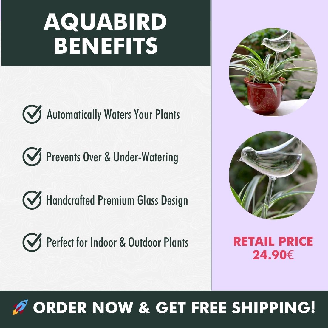 AquaBird Self-Watering Globe – Smart & Elegant Care for Your Plants!