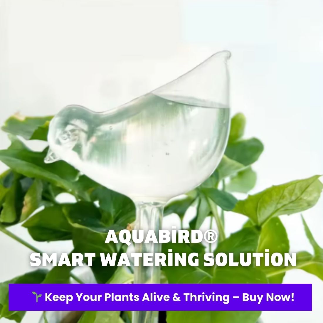 AquaBird Self-Watering Globe