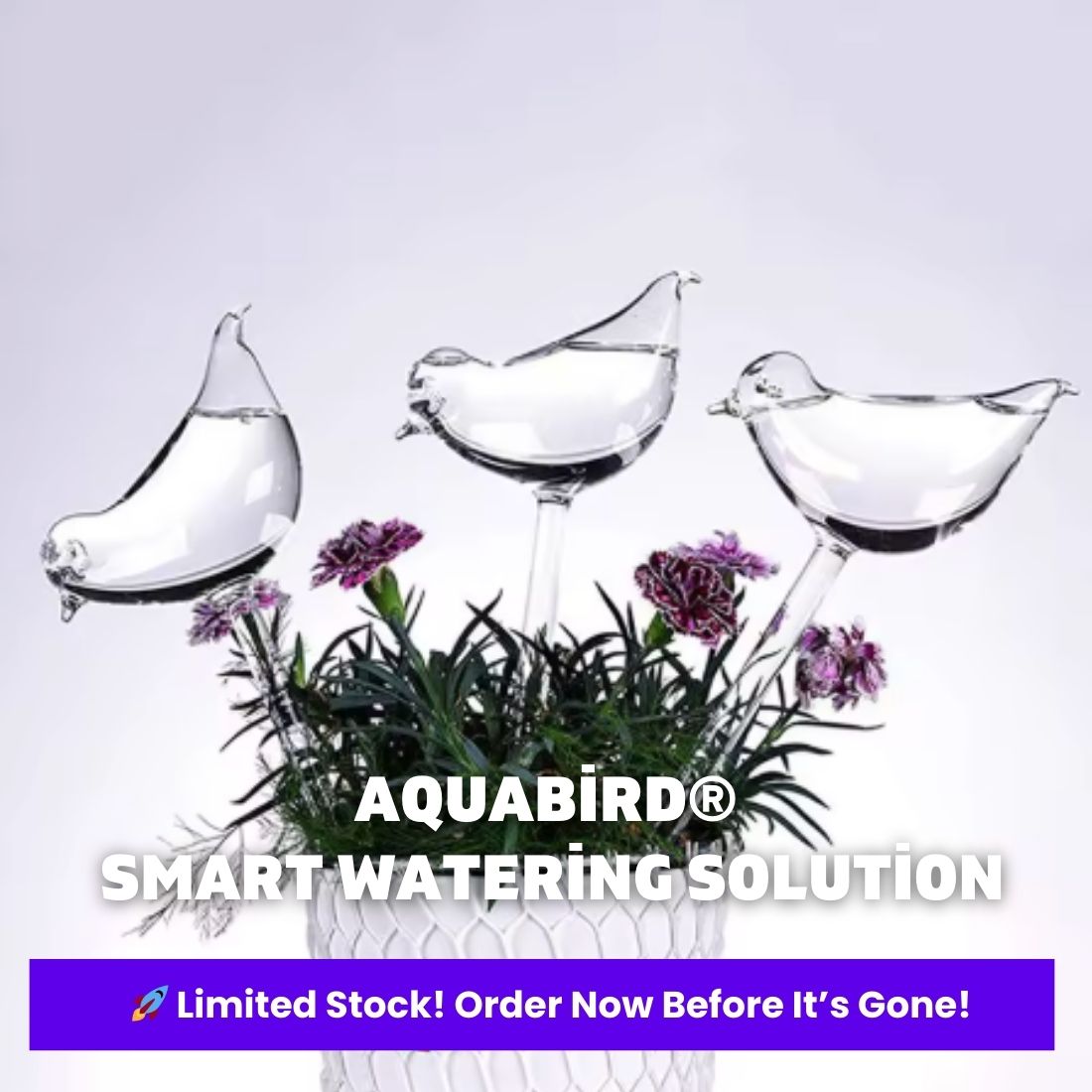 AquaBird Self-Watering Globe – Smart & Elegant Care for Your Plants!