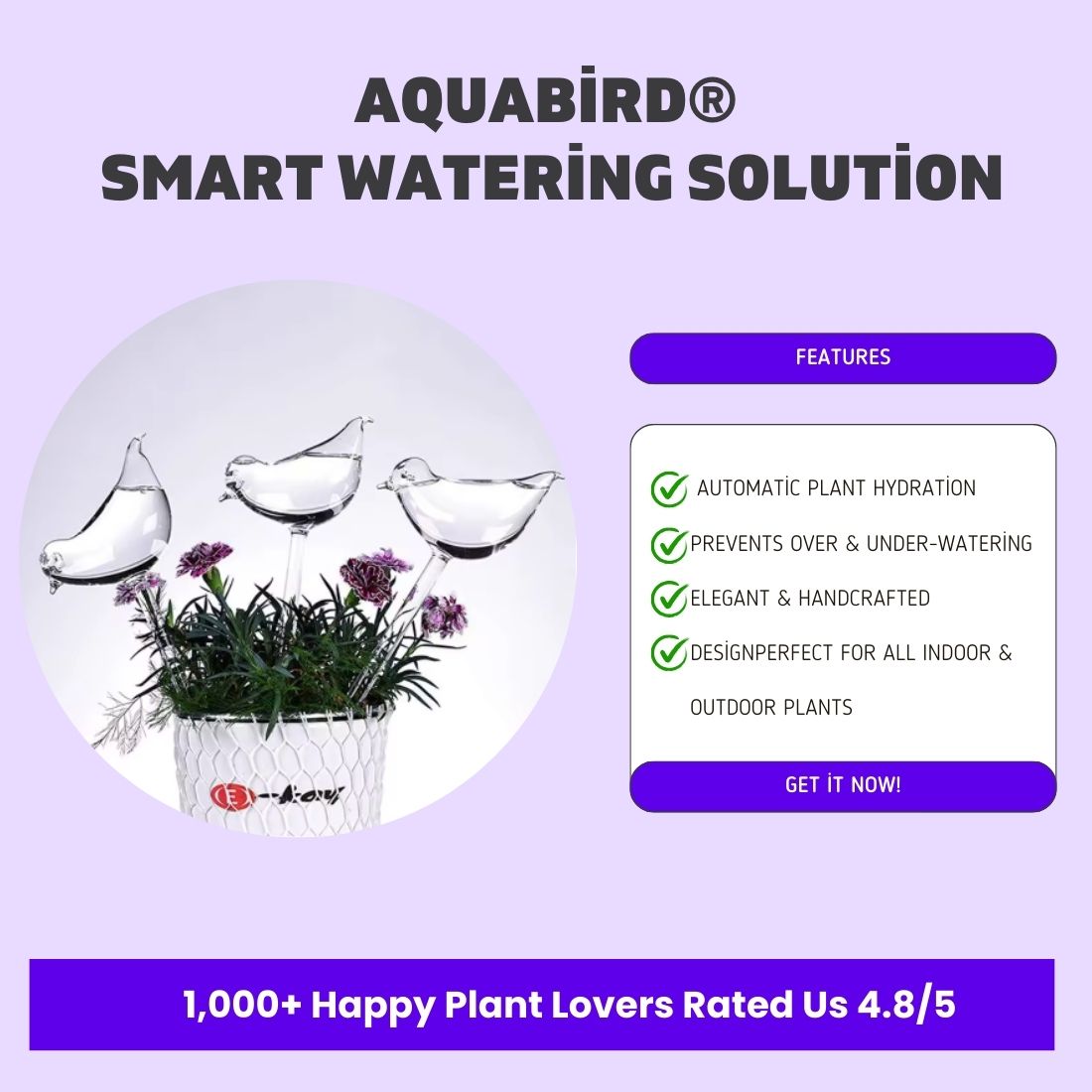 AquaBird Self-Watering Globe