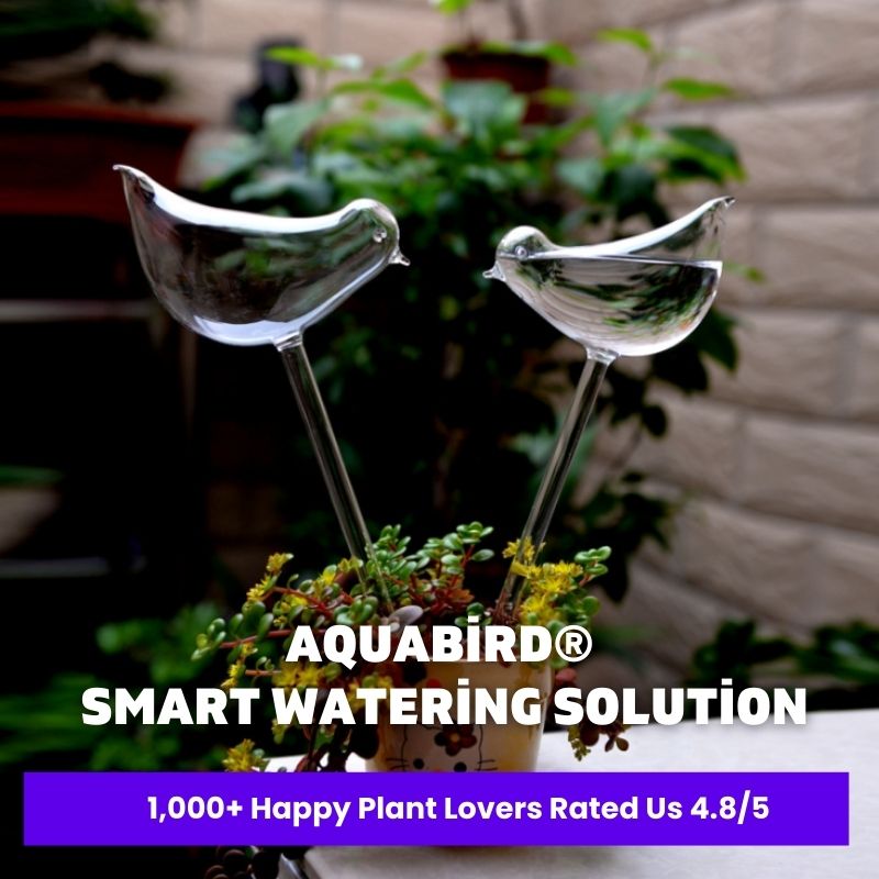 AquaBird Self-Watering Globe – Smart & Elegant Care for Your Plants!