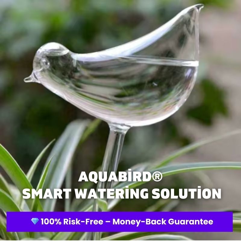 AquaBird Self-Watering Globe – Smart & Elegant Care for Your Plants!