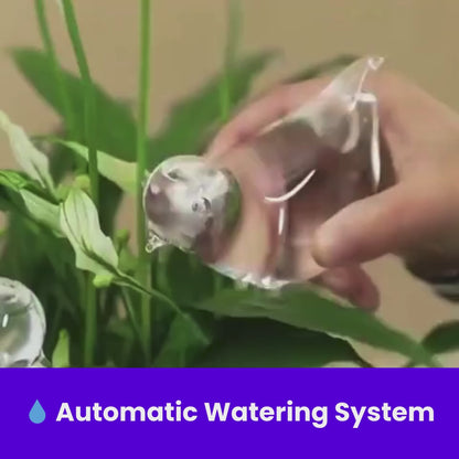 AquaBird Self-Watering Globe